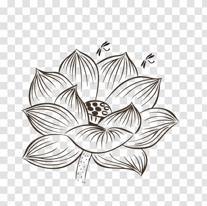 Nelumbo Nucifera Drawing Black And White Painting - Tree - Hand-painted Lotus Transparent PNG