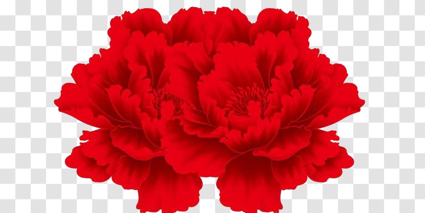 Flower Drawing Red - Midautumn Festival - Peony Transparent PNG