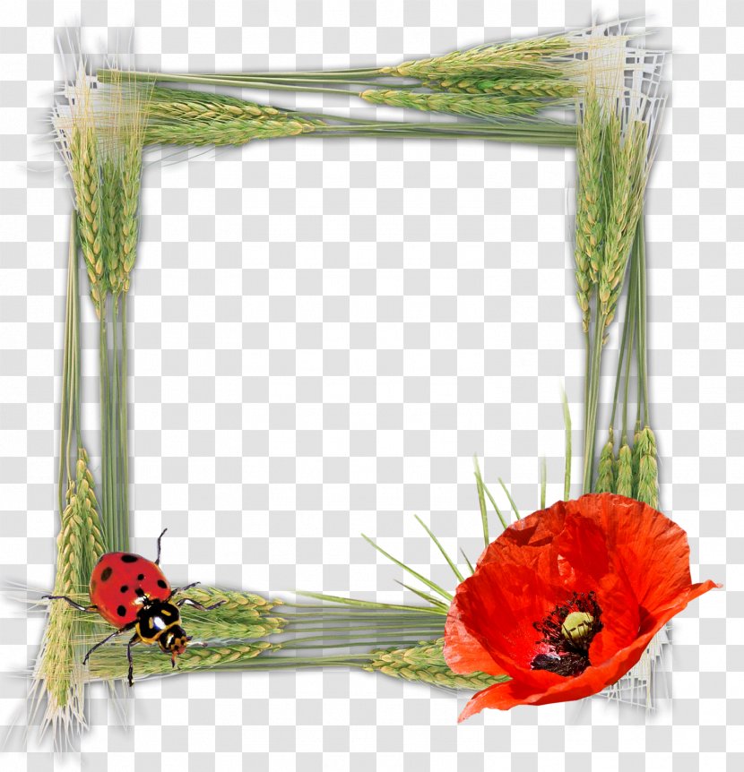 Picture Frames Photography Birthday Tableau - Animation - Gold Floral Transparent PNG