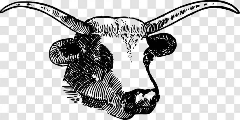 Texas Longhorn English Angus Cattle Clip Art - Black And White - Bull Skull Transparent PNG