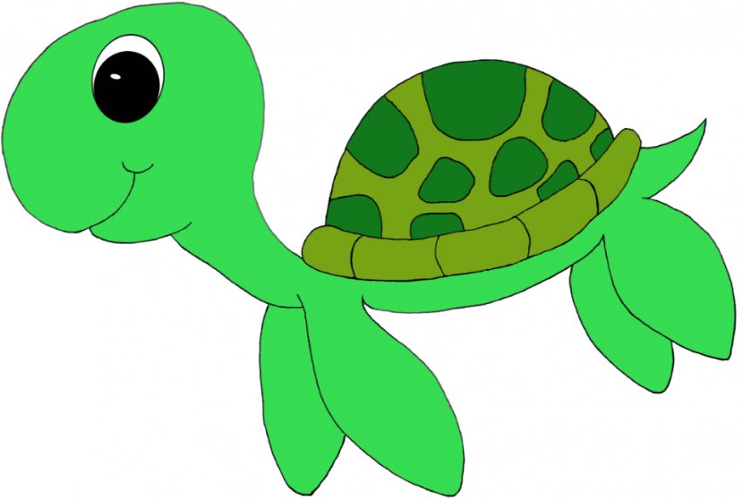 Green Sea Turtle Leatherback Clip Art - Vertebrate - School Cliparts Transparent PNG