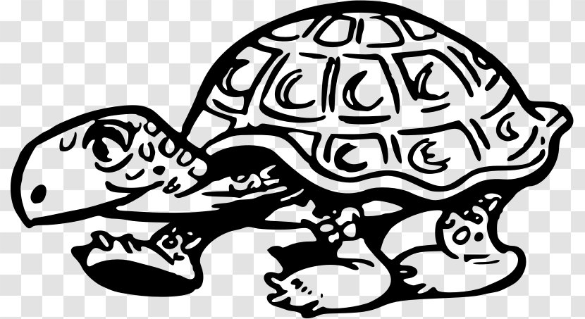Turtle Tortoise Reptile Clip Art - Cartoon Transparent PNG