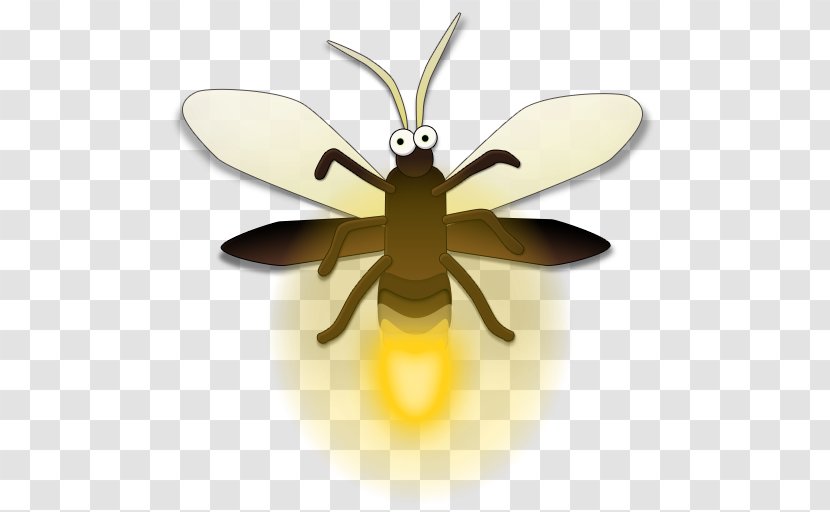 Bee - Insect - Wing Transparent PNG