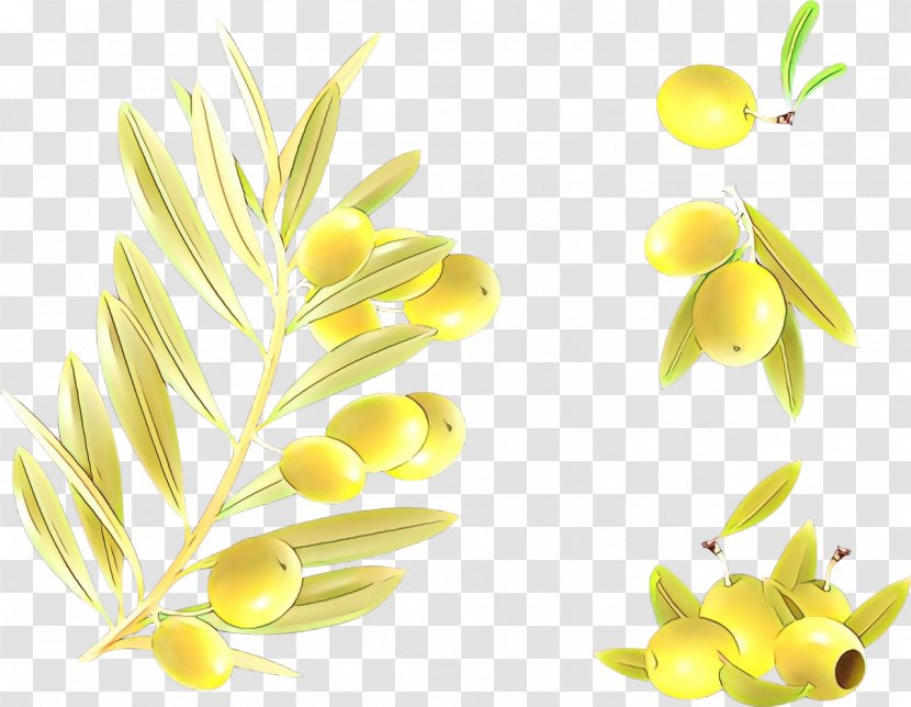 Yellow Plant Flower Clip Art Flowering Transparent PNG
