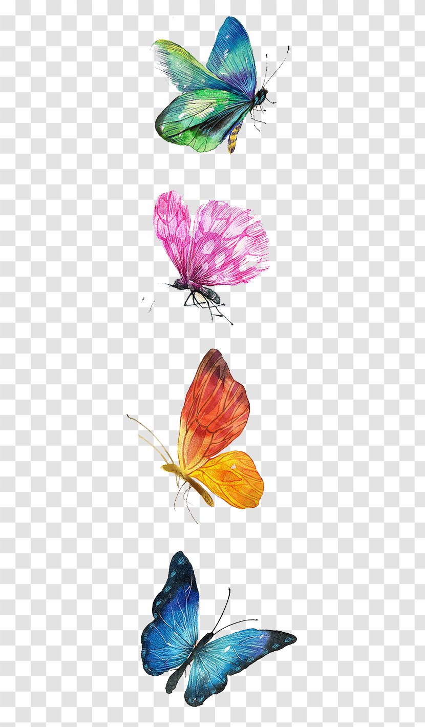 Butterfly Drawing Watercolor Painting Illustration Transparent PNG