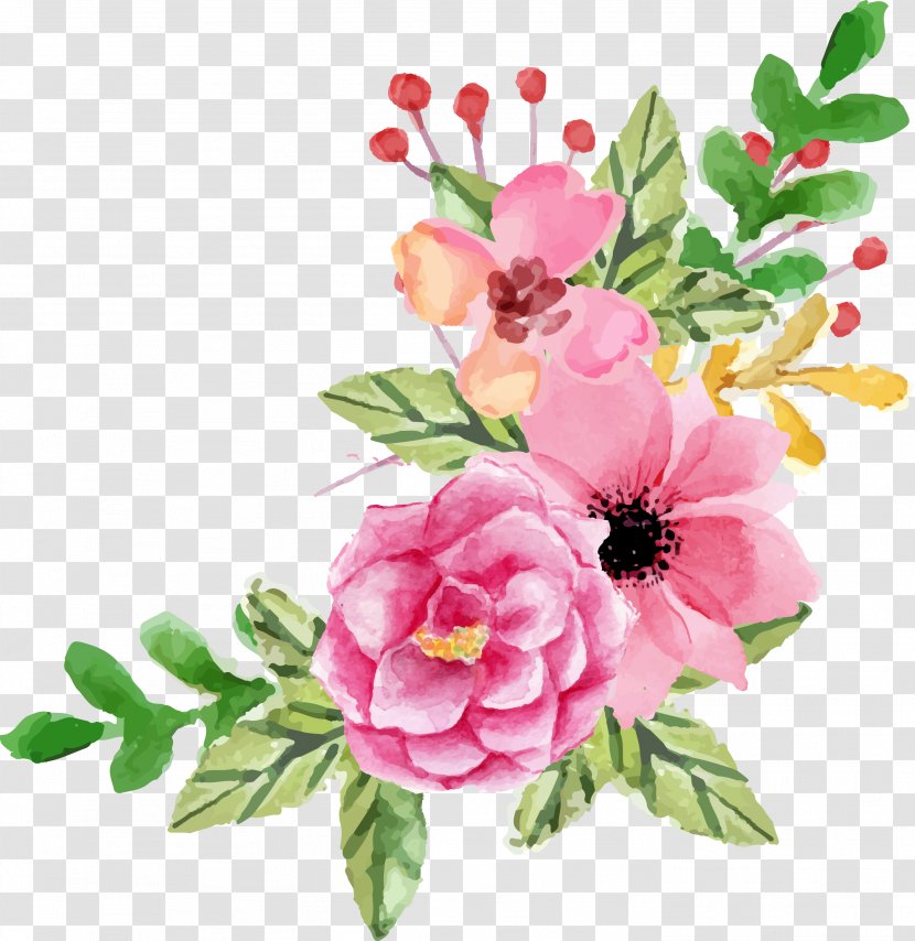Garden Roses Floral Design Flower Watercolor Painting - Blossom - Valentine Element Transparent PNG