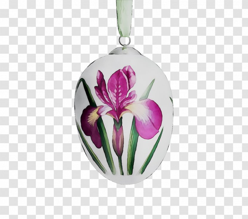 Tulip Cut Flowers Purple Christmas Ornament Day Transparent PNG