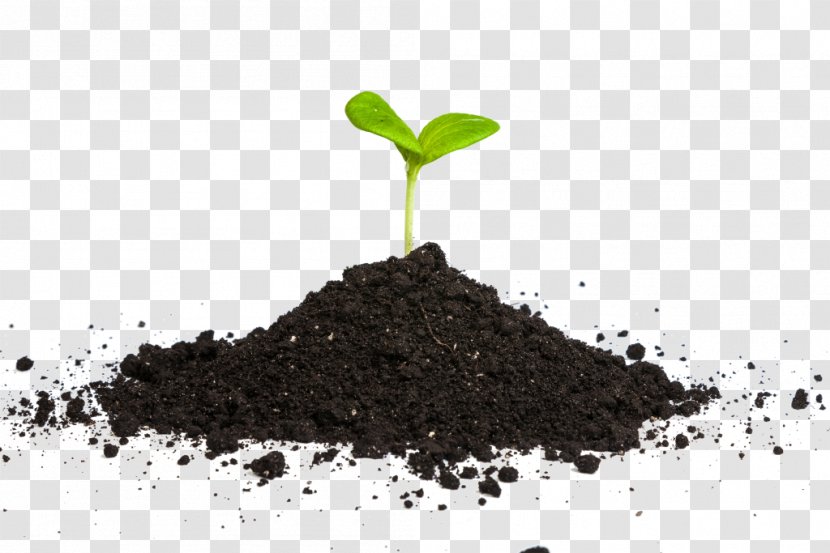 Stock Photography Royalty-free - Sprouting - Soil Transparent PNG