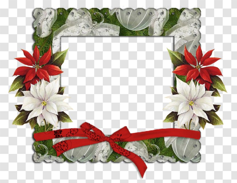 Teth Christmas Day Adobe Photoshop Floral Design - Flowering Plant - Deco Mesh Ribbon Wreaths Transparent PNG