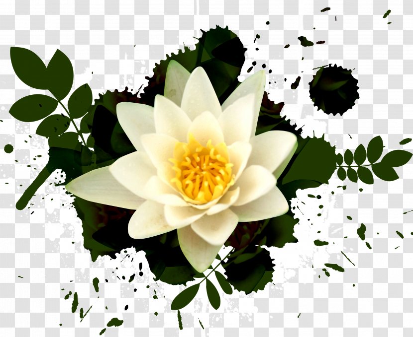 Download Computer File - Petal - Creative Background Ink Splashes Water Lily Transparent PNG
