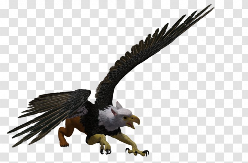 Bald Eagle Griffin Rendering DeviantArt - Wildlife Transparent PNG