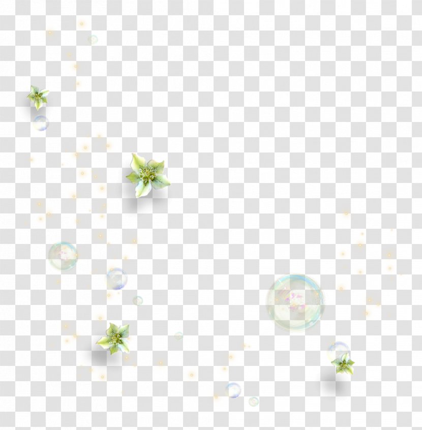 Green Poster Wallpaper - Lilium - Drops Transparent PNG