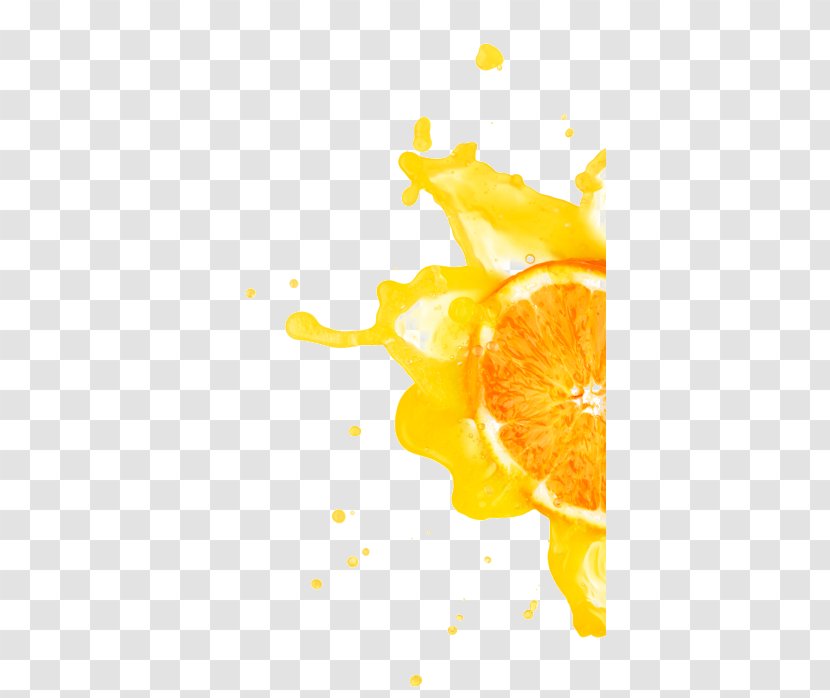 Orange Juice Vegetarian Cuisine Lemon Peel Still Life Photography - Splash Transparent PNG