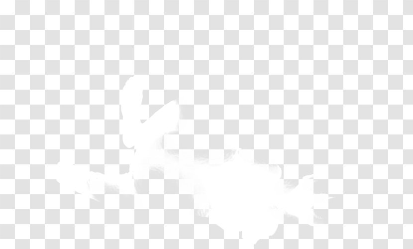 Line Angle - Black - White Lion Transparent PNG