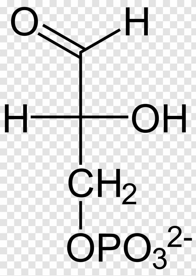 Pyruvic Acid Biochemistry Gluconic Monosaccharide - Molecule - Handy Man Transparent PNG