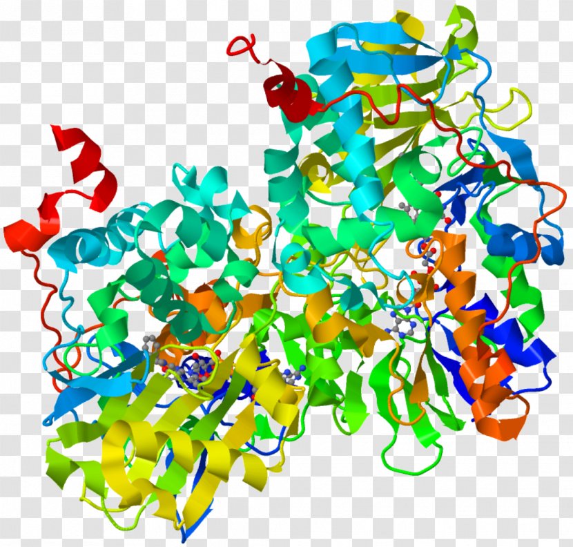 Monoamine Oxidase Inhibitor Neurotransmitter Enzyme - Organism - Antidepressant Transparent PNG