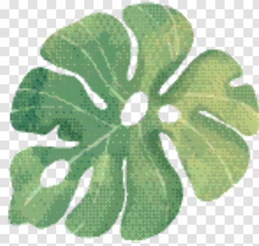 Green Leaf Background - Impatiens - Symbol Transparent PNG