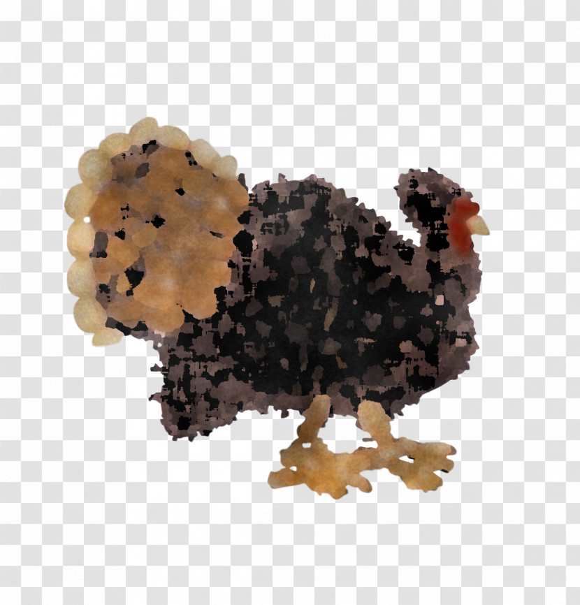 Chicken Chicken Transparent PNG