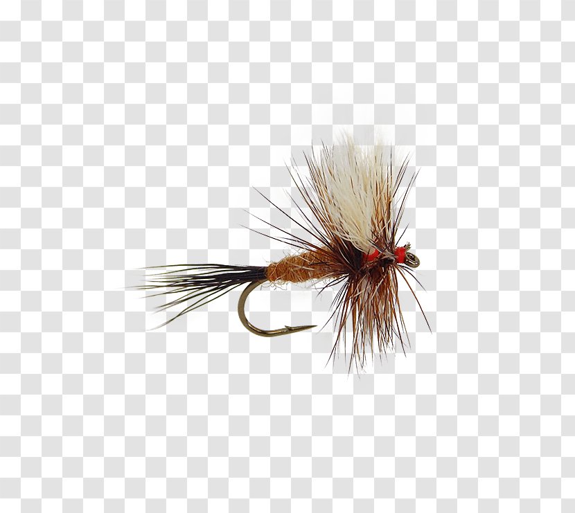 Artificial Fly Mayfly Fishing Gray Fox Nymph - Pest - Tying Transparent PNG