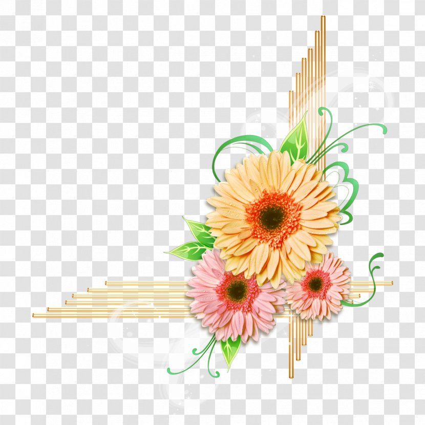 Flower Transvaal Daisy Clip Art - Hantel Transparent PNG