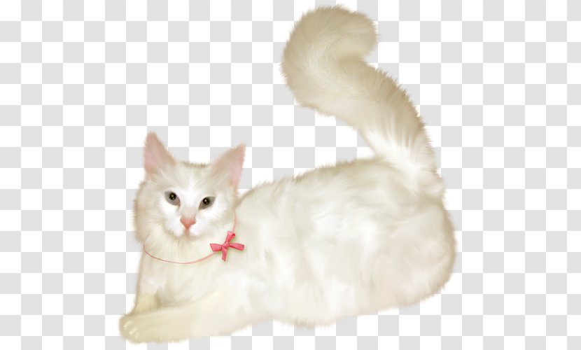 Turkish Van Angora Balinese Cat Aegean Burmilla - Carnivoran - Kitten Transparent PNG