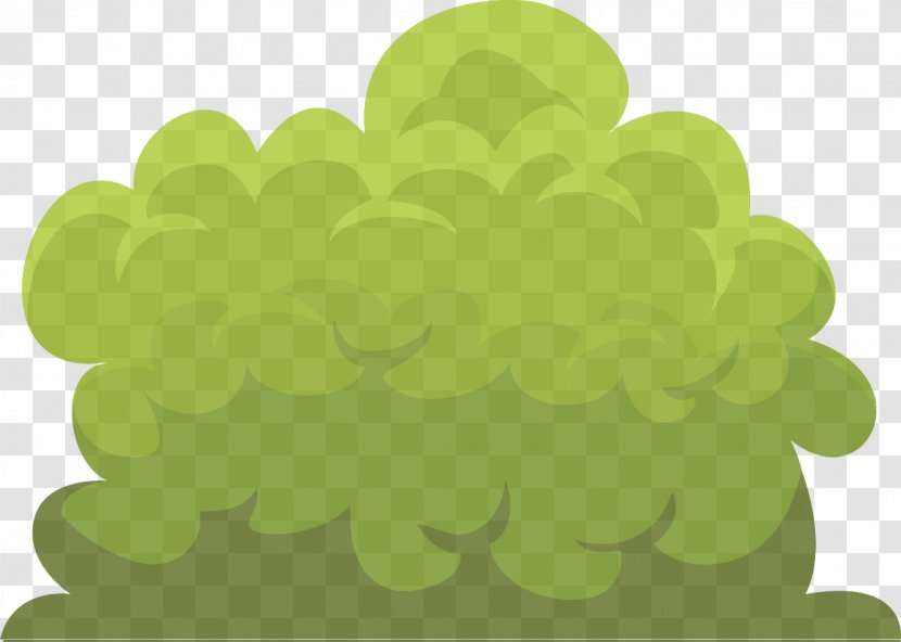 Green Leaf Cloud Plant Clip Art - Vitis - Tree Transparent PNG