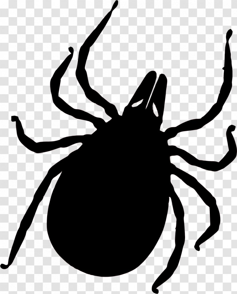 Tick-borne Disease Lyme Deer Tick Insect Bites And Stings - Membrane Winged - Vector Transparent PNG
