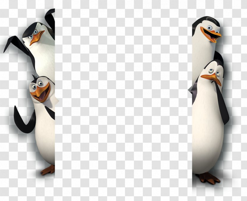 Madagascar Maurice Marty Melman - Flightless Bird - Penguins Transparent PNG