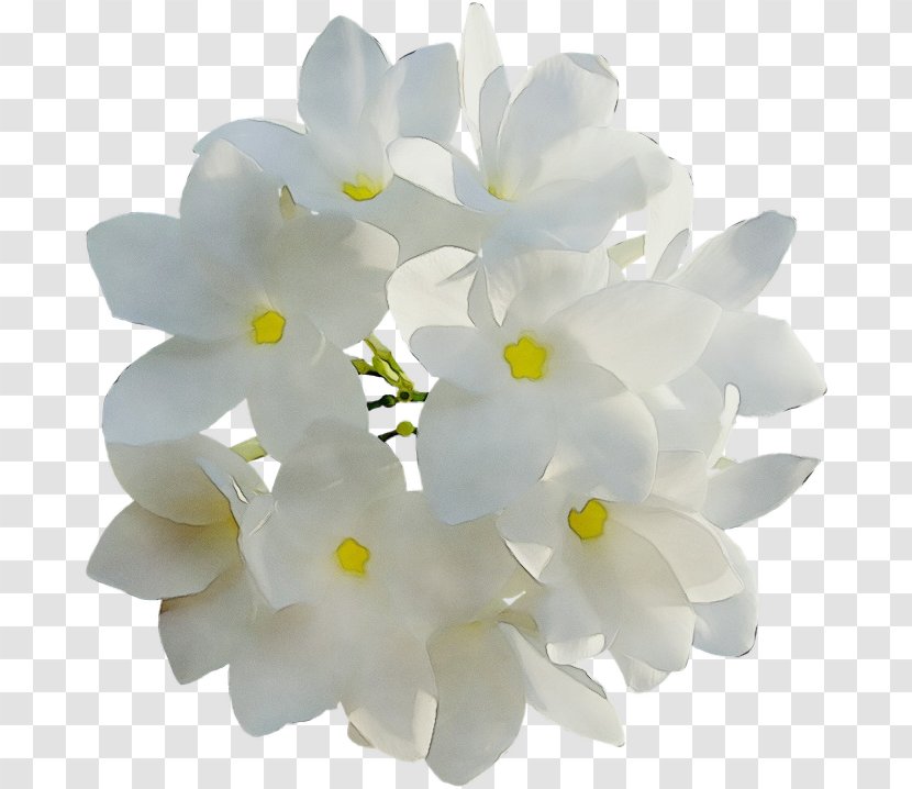 Artificial Flower - White - Bouquet Transparent PNG