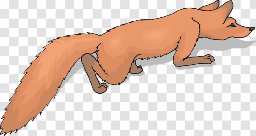 Red Fox Foxtail Clip Art - Graphic Arts Transparent PNG
