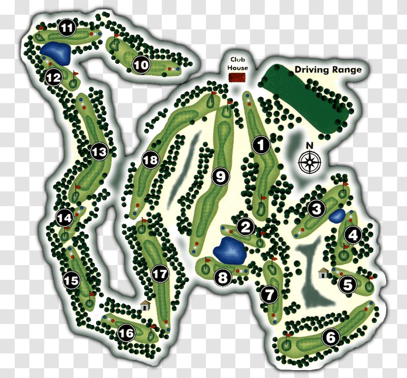 Golf Course Pinetop Country Club Wood - Area - Summer Discount Transparent PNG