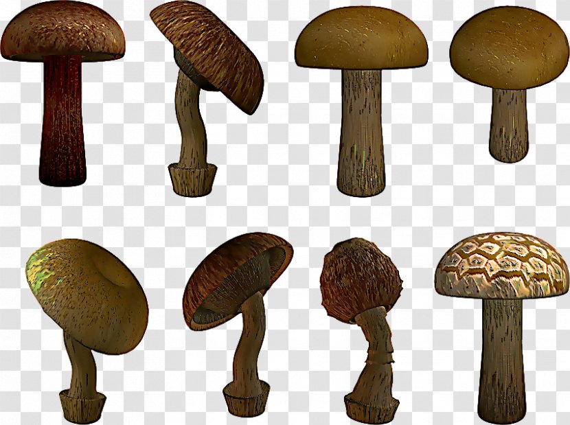 Mushroom Cartoon - Bolete - Fawn Oyster Transparent PNG