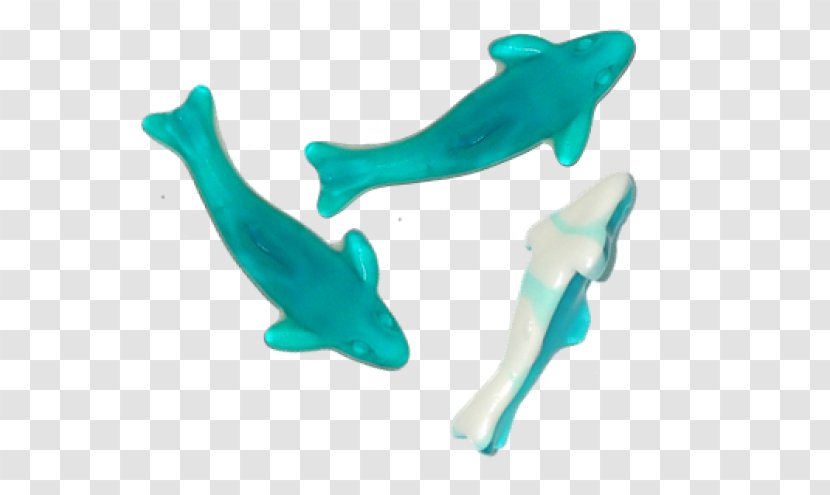 Dolphin Marine Biology Product Design Plastic Turquoise - Company Spirit Transparent PNG