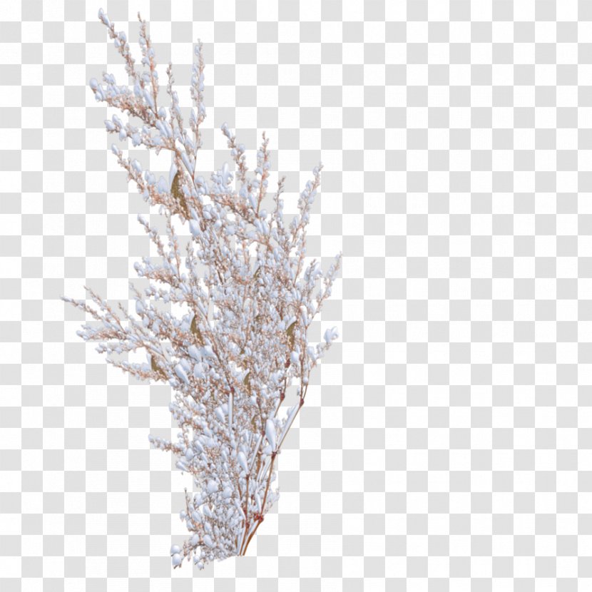 Snowflake Shrub Tree - Branch - Snow Transparent PNG