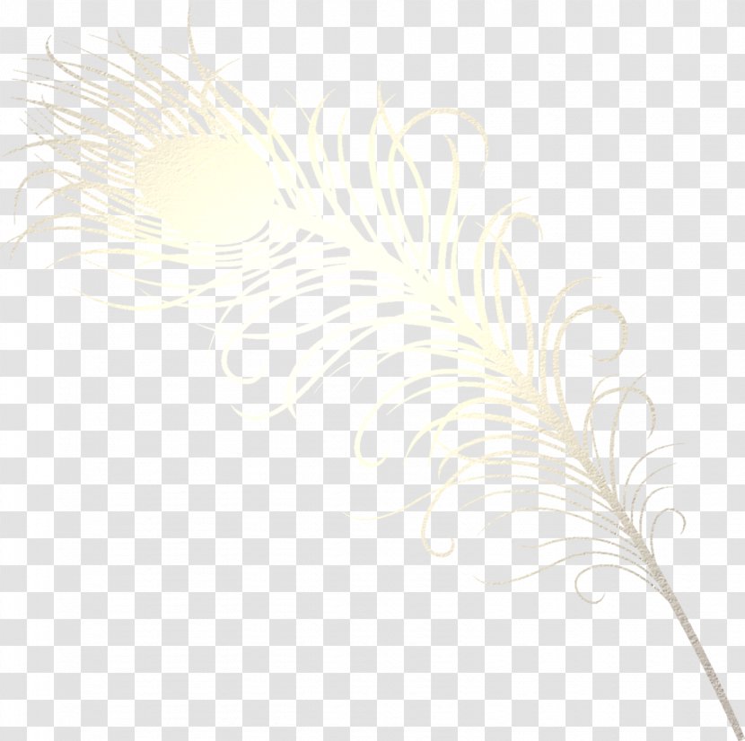 Feather Desktop Wallpaper Grasses Computer Close-up - Family Transparent PNG