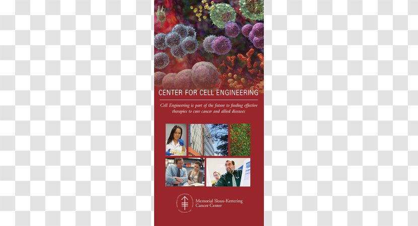 Brochure Art Cell Hematology - Medical Flyer Design Transparent PNG