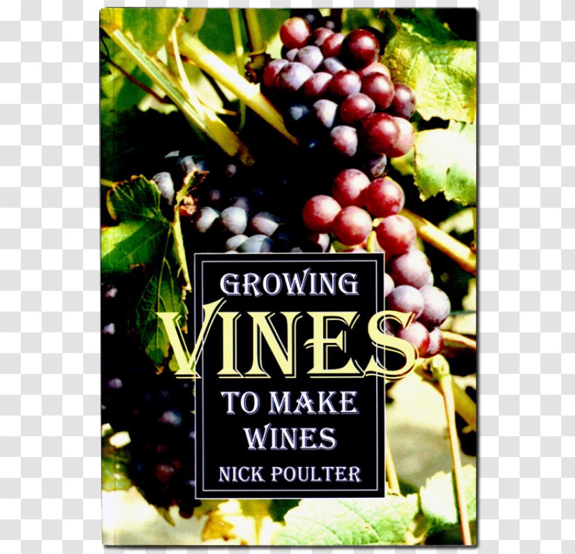 From Vines To Wines: The Complete Guide Growing Grapes And Making Your Own Wine Make Wines Common Grape Vine - Seed Extract Transparent PNG