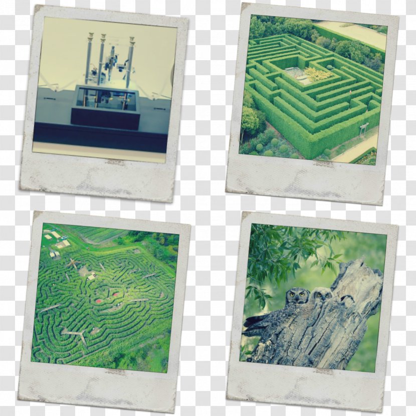 Garden Picture Frames Lawn Maze - Turing Transparent PNG