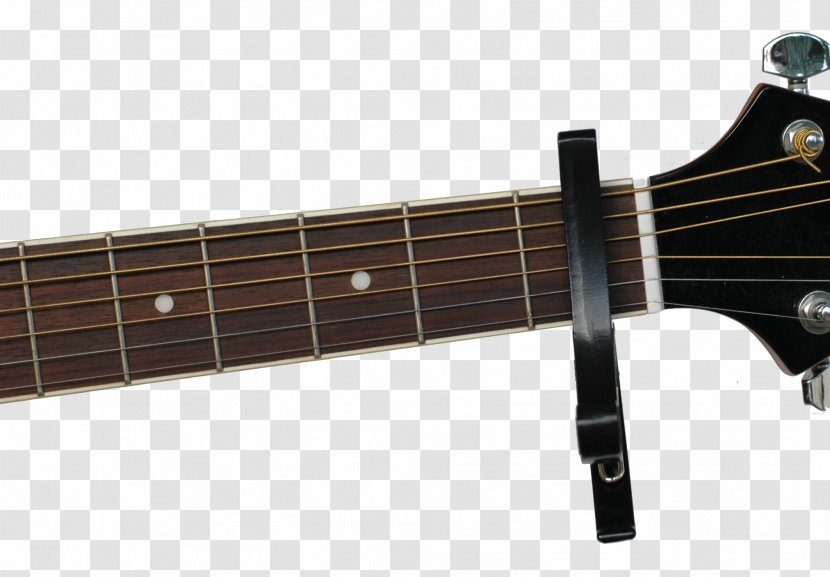 Bass Guitar Acoustic Acoustic-electric Capo - Frame - Player Transparent PNG