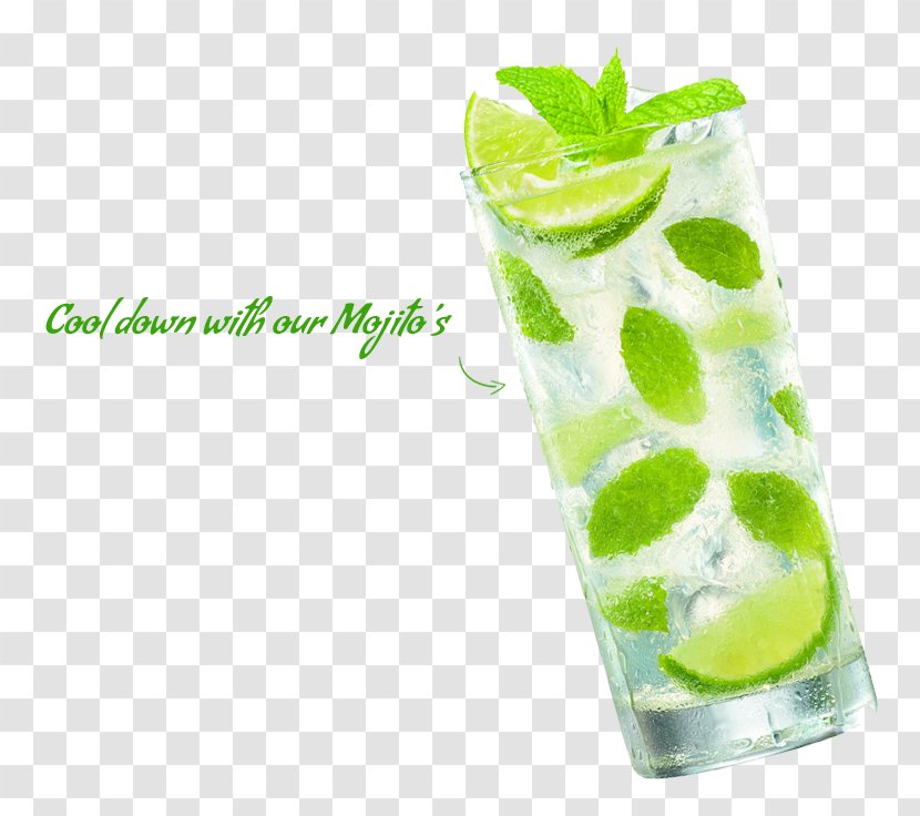 Mojito Gin And Tonic Caipirinha Cocktail Garnish Sea Breeze - Drink Bar Transparent PNG