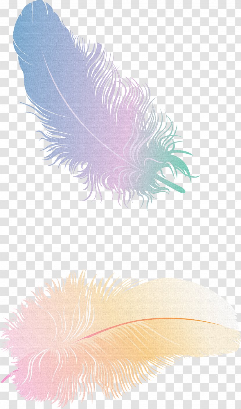Feather Quill Animal - Flies Transparent PNG