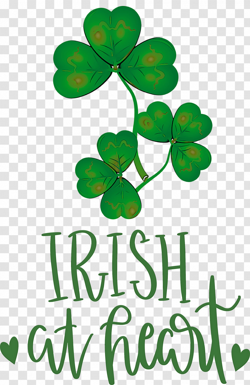 Shamrock Irish Saint Patrick Transparent PNG