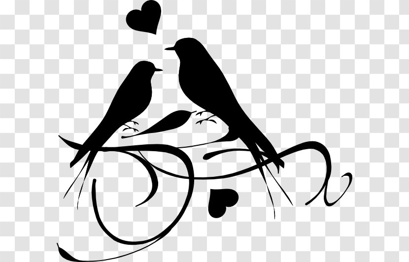 Book Drawing Clip Art - Black And White - Birds Vector Silhouettes Transparent PNG