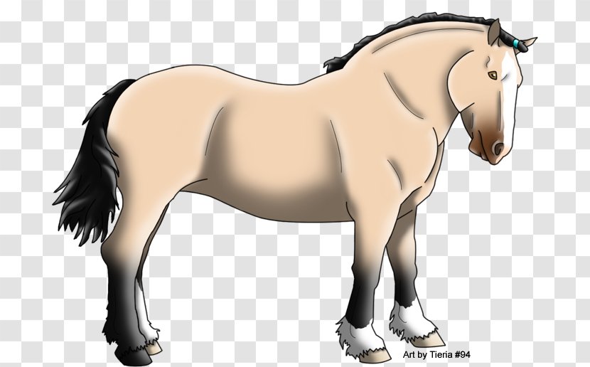 Stallion Mustang Rein Mare Bridle Transparent PNG