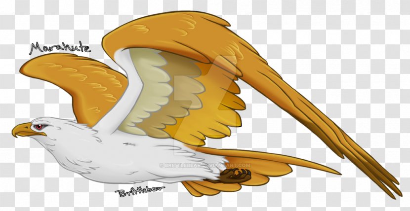 Marahute Fan Art Drawing Eagle - Fauna - Giant Transparent PNG
