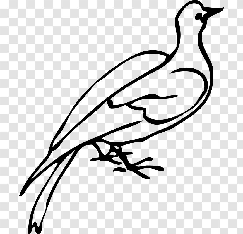 Download Clip Art - Bird - Black And White Transparent PNG