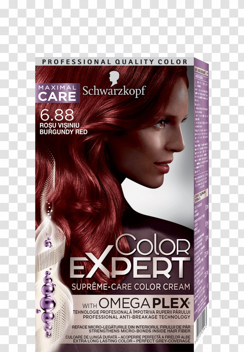 Hair Coloring Schwarzkopf Human Color - Light Brown Transparent PNG