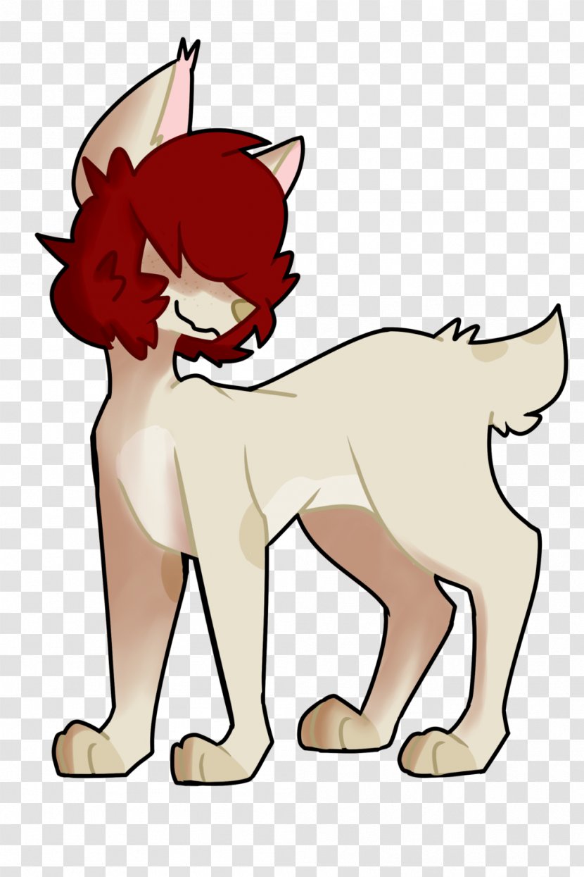 Whiskers Cat Dog Lion Mammal - Cartoon Transparent PNG