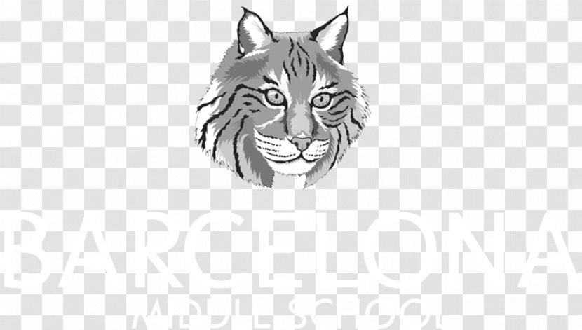 Tiger Cougar Whiskers /m/02csf Cat - Drawing Transparent PNG