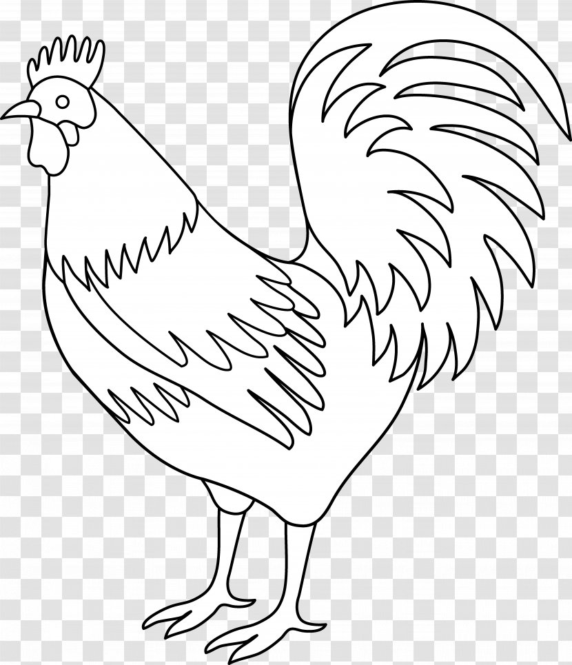 Plymouth Rock Chicken Rooster Black And White Clip Art - Drawings Of Roosters Transparent PNG